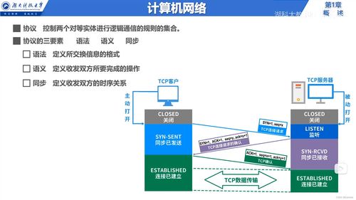 計算機網絡基礎知識概述