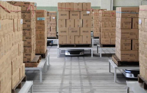 十問曠視印奇 AI公司步入深水區，友商其實不是友商，裝卸搬運的現實與挑戰